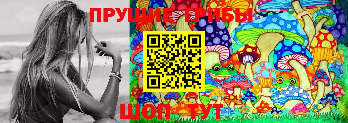 Георгиевск  Галлюциногенные грибы Magic Shrooms  цены наркотик  Вход с VPN 